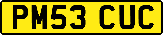 PM53CUC