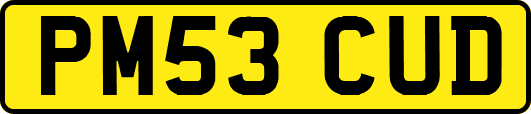 PM53CUD