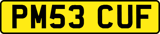 PM53CUF