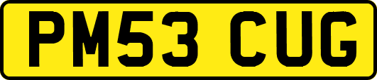 PM53CUG