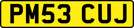 PM53CUJ