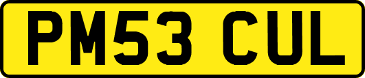 PM53CUL