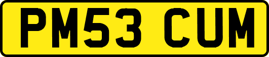 PM53CUM