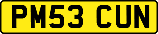 PM53CUN