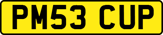PM53CUP