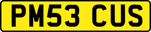 PM53CUS