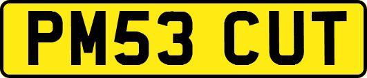 PM53CUT