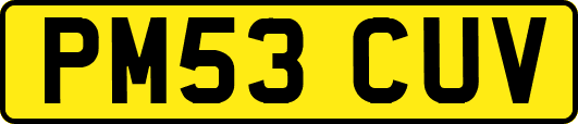 PM53CUV