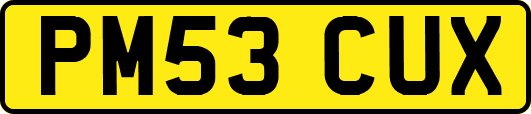 PM53CUX