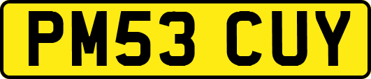 PM53CUY