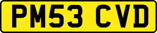 PM53CVD