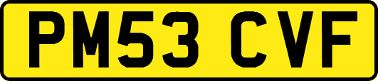 PM53CVF