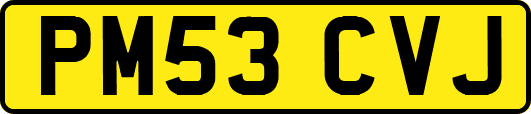 PM53CVJ