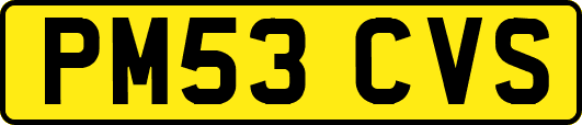 PM53CVS