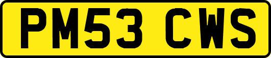 PM53CWS
