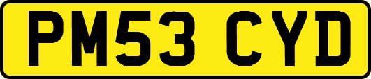 PM53CYD