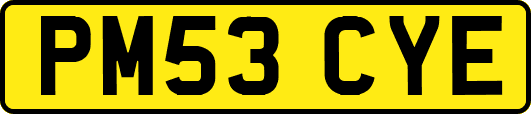 PM53CYE