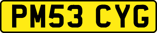 PM53CYG