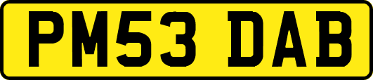 PM53DAB