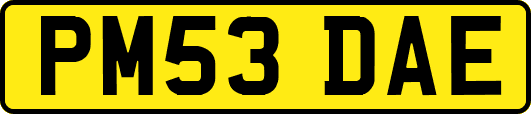 PM53DAE
