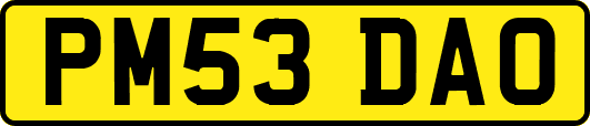 PM53DAO