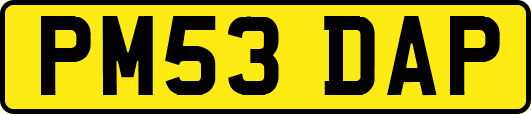 PM53DAP