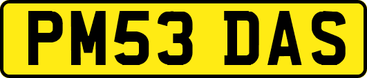 PM53DAS