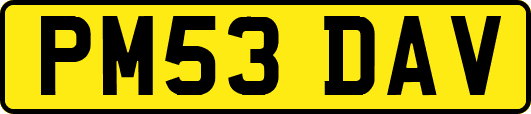PM53DAV