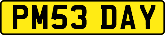 PM53DAY