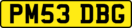 PM53DBG