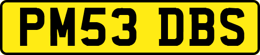 PM53DBS