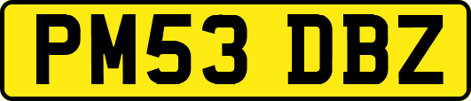 PM53DBZ