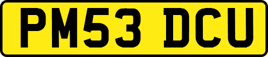 PM53DCU