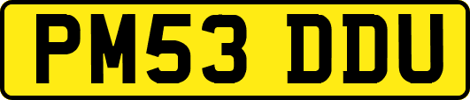 PM53DDU
