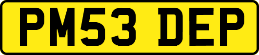 PM53DEP
