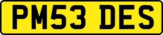 PM53DES