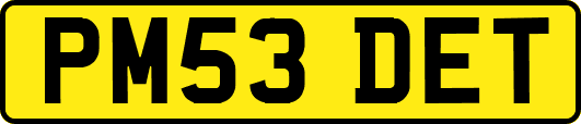 PM53DET