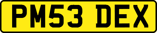 PM53DEX