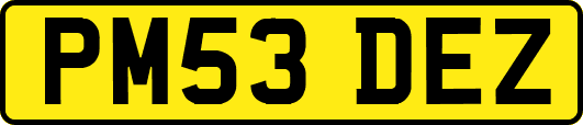 PM53DEZ