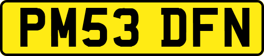 PM53DFN
