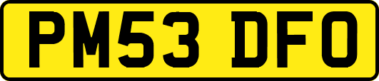 PM53DFO