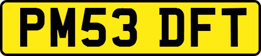 PM53DFT