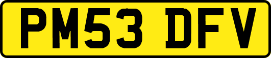 PM53DFV