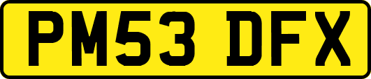 PM53DFX