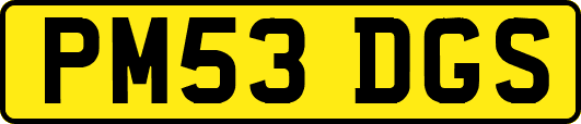 PM53DGS