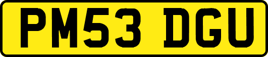 PM53DGU