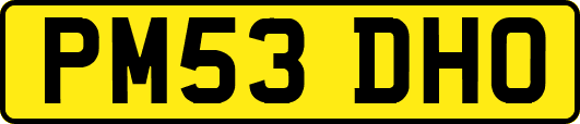 PM53DHO