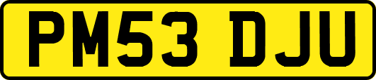 PM53DJU
