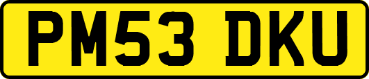 PM53DKU