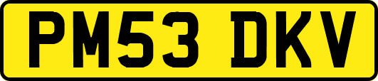 PM53DKV